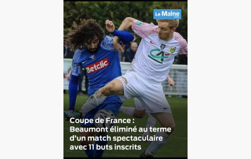 Coupe de France