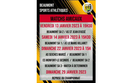 Matchs amicaux